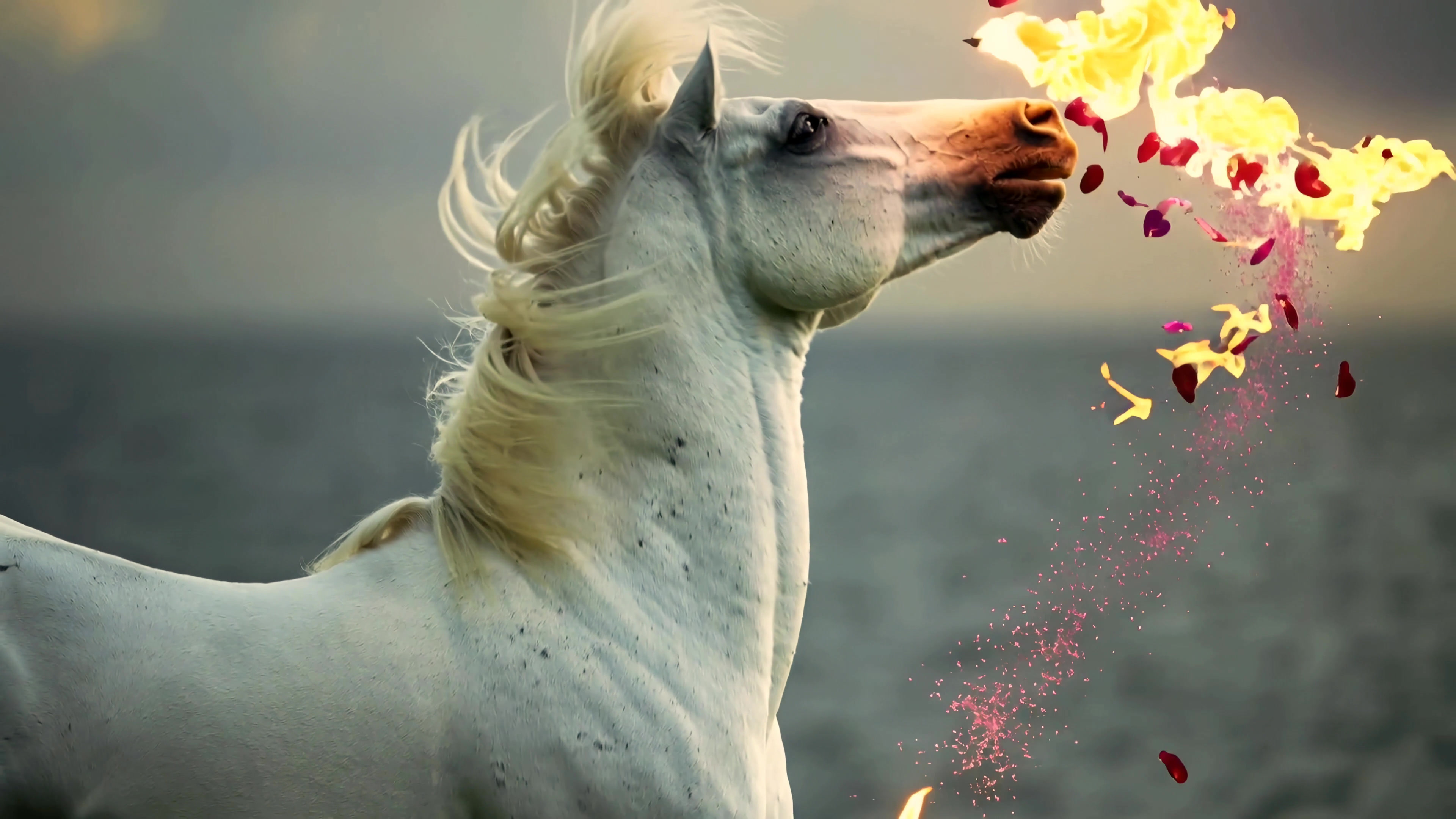 White horse breathes colorful flames by the ocean during sunset while standing on the beach