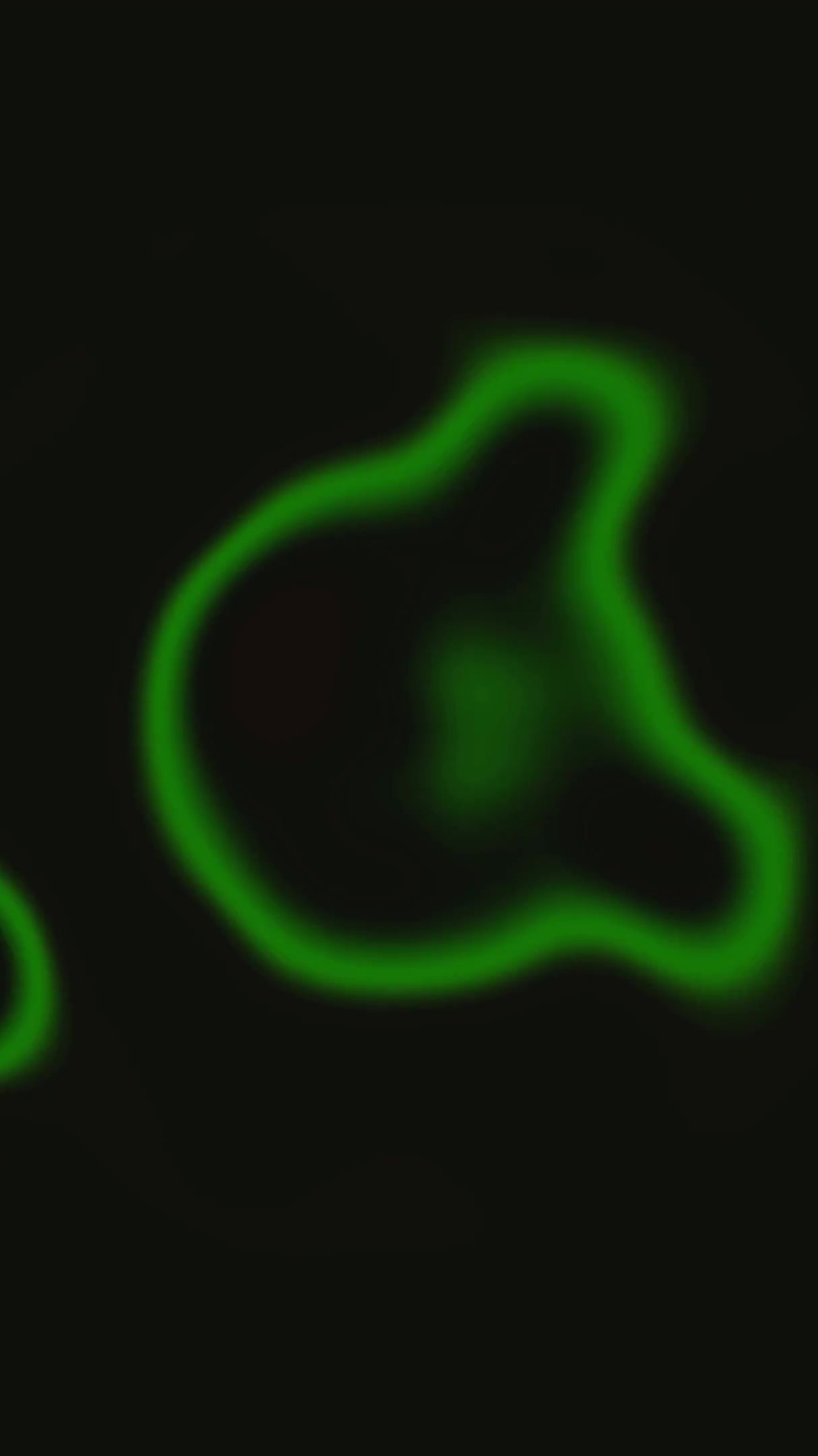 Seamless tunnel video loop creates vibrant visual experience with swirling patterns and colors