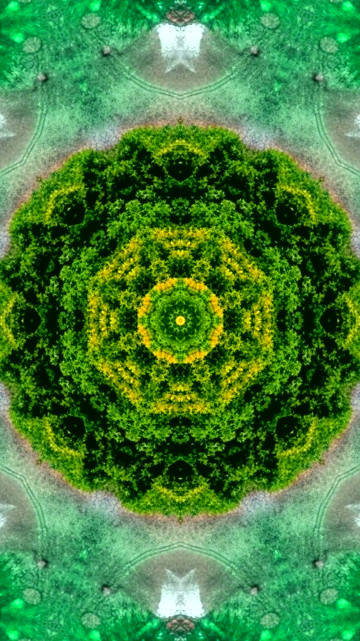 Seamless loop of vibrant tunnel patterns creating an immersive visual experience with green hues and intricate designs