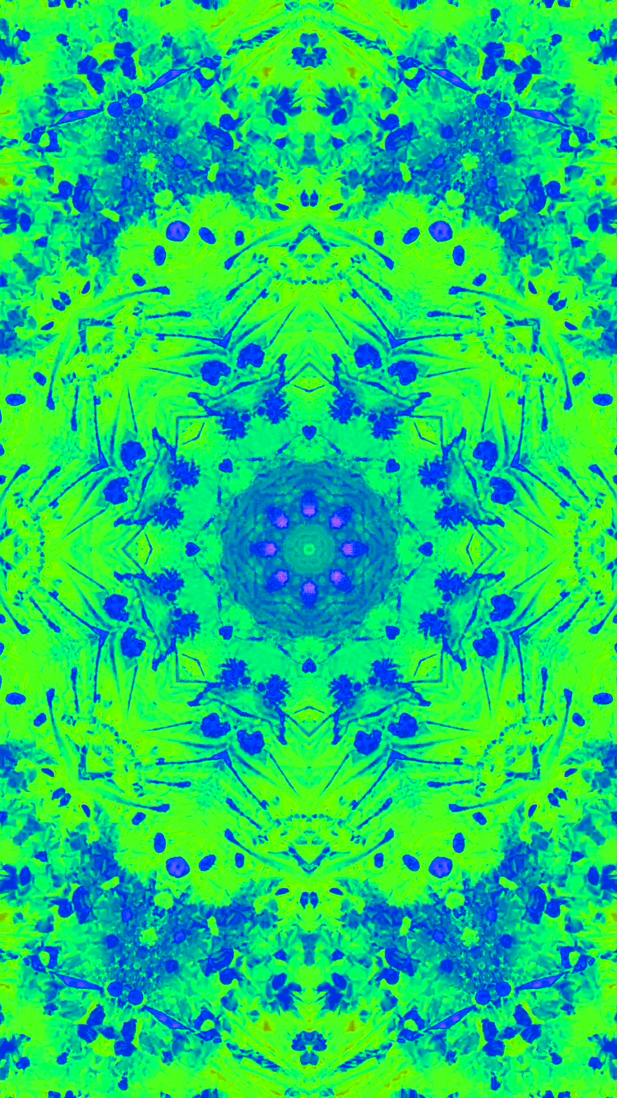 Vibrant tunnel video loop featuring dynamic colors and patterns in a seamless animated display for artistic environments