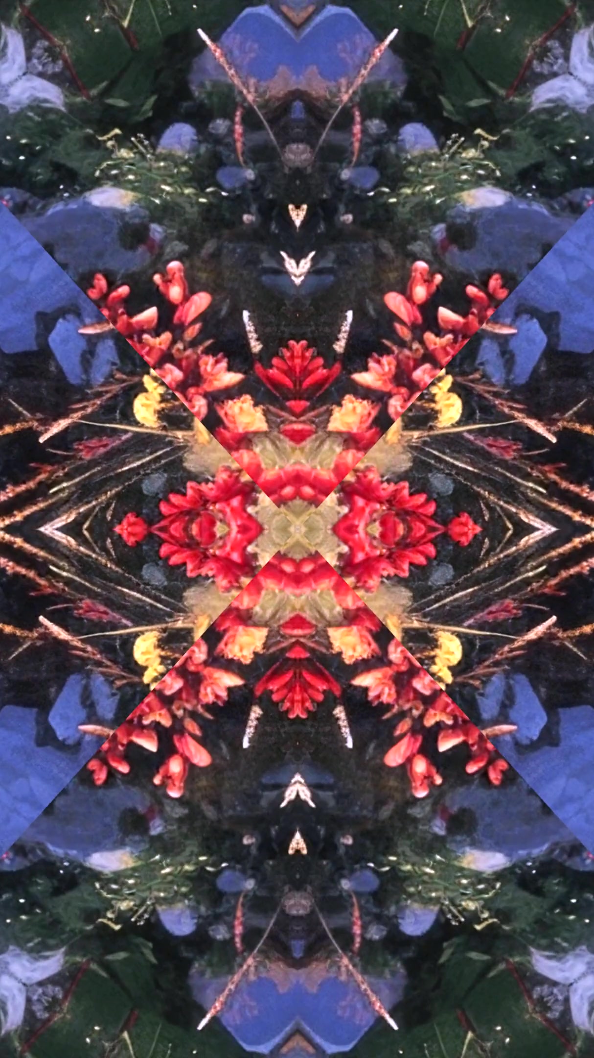 Seamless tunnel video loop showcasing colorful floral patterns and textures in an abstract design for immersive screensaver experience