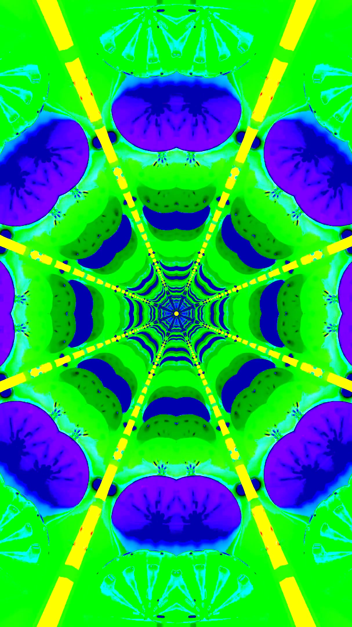 Colorful tunnel video loop creates a mesmerizing visual experience with vibrant patterns and seamless motion