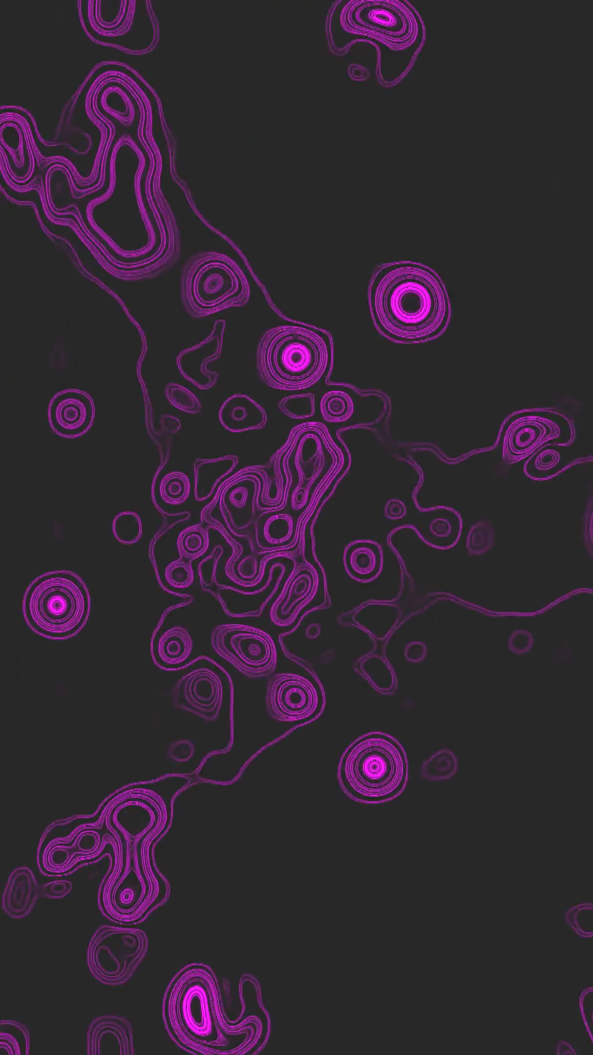 Dynamic tunnel video loop featuring vibrant pink patterns for imm