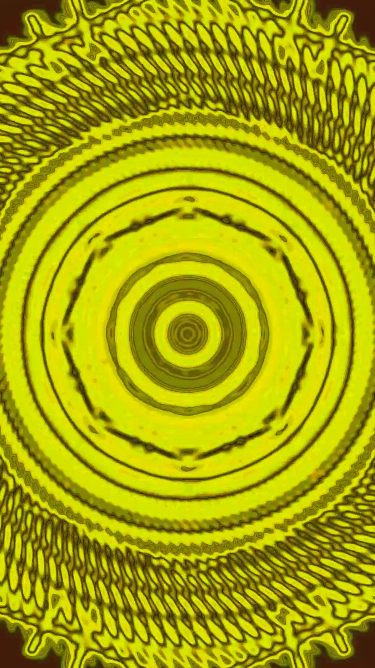 Vibrant tunnel video loop with seamless movement of swirling patt