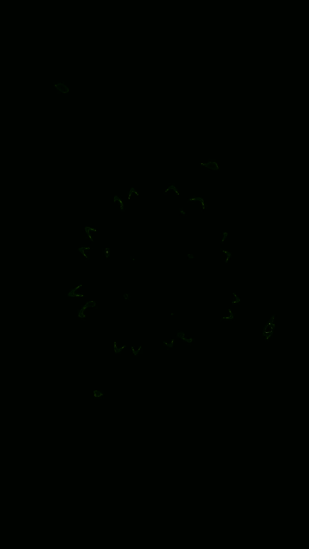 Seamless tunnel video loop with vibrant green patterns creating d