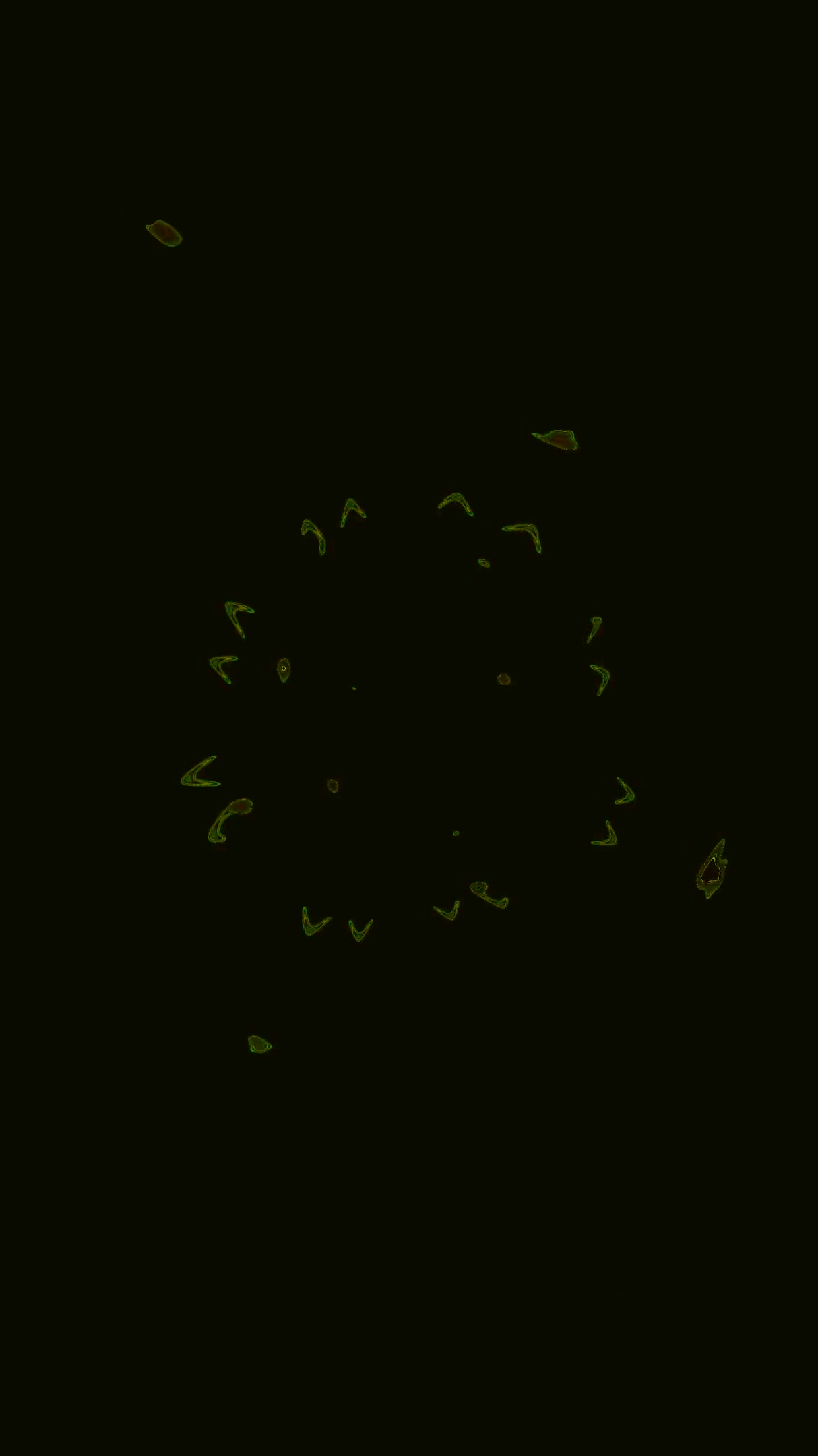 Dynamic tunnel video loop with vibrant green patterns and seamles