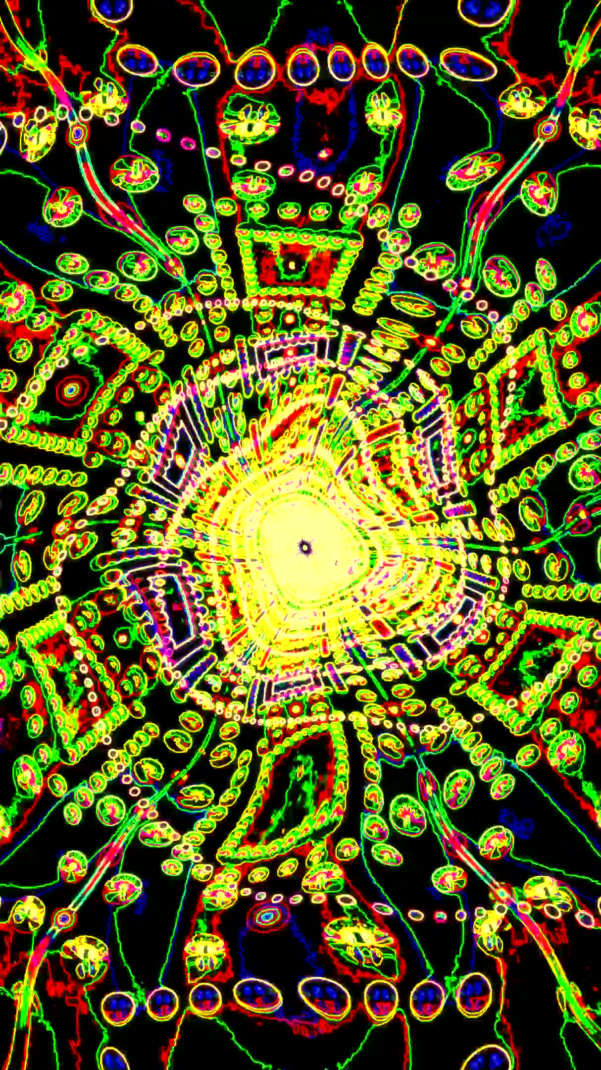 Vibrant Tunnel VJ Loop Screensaver creating a seamless journey through colorful patterns and shapes